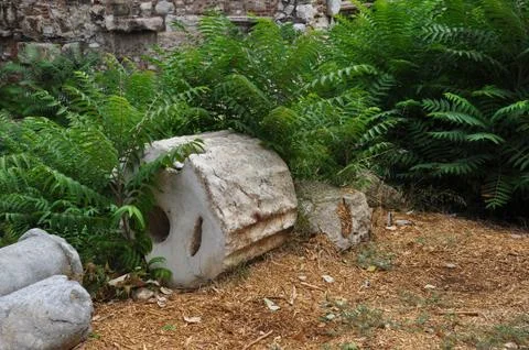 Overgrown ruins Stock Photos