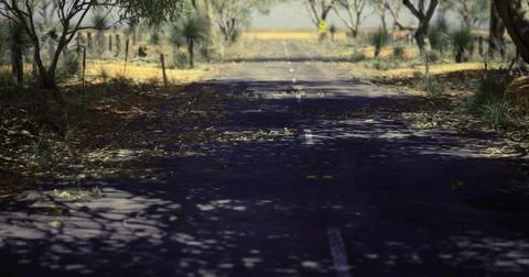 Overgrown rural road surrounded by sparse trees on a sunny day Stock Illustration