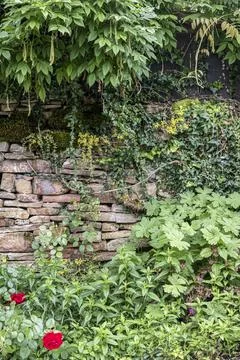 Overgrown Rustic Stone Garden Wall Stock-Fotos