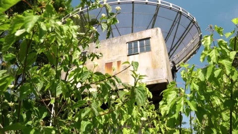 Overgrown satellite dish observed from different angles in nature Stock Footage 291882912