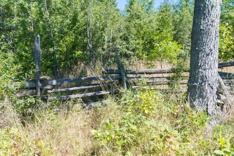 Overgrown split rail cedar farm fence on Manitoulin island Stock Photos