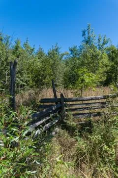 Overgrown split rail cedar farm fence on Manitoulin island Stock Photos