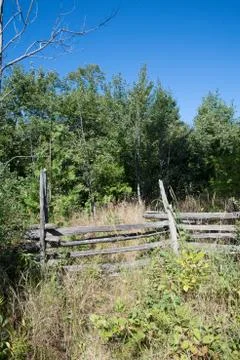 Overgrown split rail cedar farm fence on Manitoulin island Stock Photos
