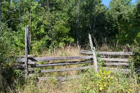 Overgrown split rail cedar farm fence on Manitoulin island Stock Photos