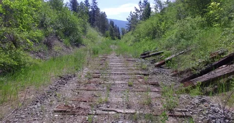 Overgrown Tracks Video stock 63129251