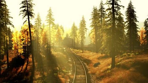 Overgrown train tracks cutting through a grove of evergreens at twilight Stock Illustration