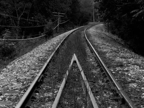The Overgrown Train tracks Stock Photos