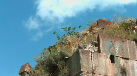 Overgrown Wall with Clouds Видео 53232702