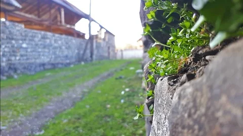 Overgrown Wall Stockbeeldmateriaal 88133312