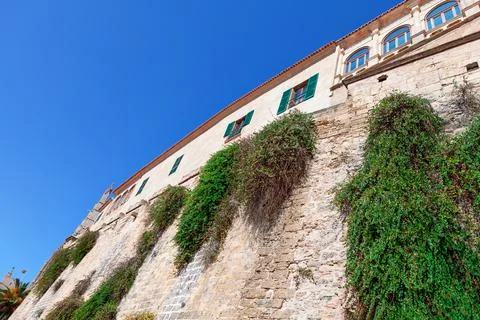 Overgrown on the wall Fotos de archivo