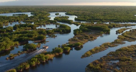 Overhead Aerial of airboat in Swamp at Sunset, Slow Motion Stock Footage