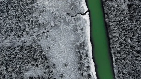Overhead aerial camera moves over a coniferous forest in the snow near a river Video stock 119237940