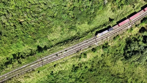Overhead Aerial Freight Train on Tracks Through Forest Vídeos de archivo 344688371