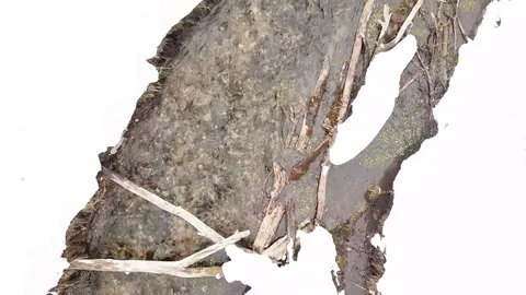 Overhead Aerial of Mountain Stream Stock Footage 89455553