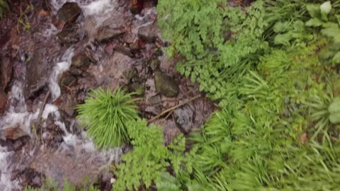 Overhead aerial over a waterfall and stream Stock Footage 252531584