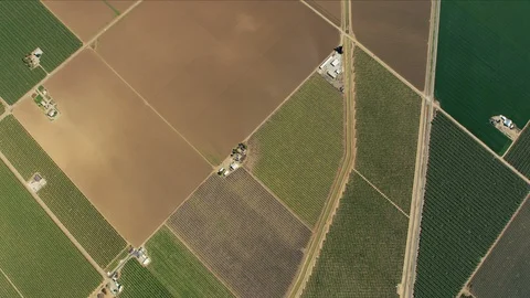 Overhead aerial patchwork organic crops growing America landscape Stock Footage 91545879