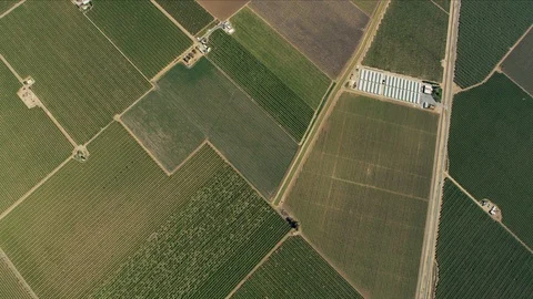 Overhead aerial scenic patchwork crops fresh produce USA Video stock 91545865