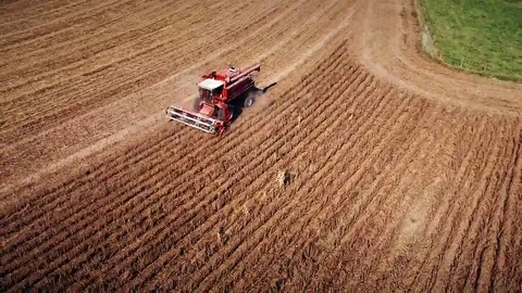 Overhead aerial of soybean harvest in Kansas Stock Footage