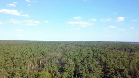 Overhead aerial top forest Stock Footage 88831501