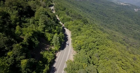 Overhead Aerial Top View Over Car Travelling On Road In Colorful Forest Stock Footage 111877338