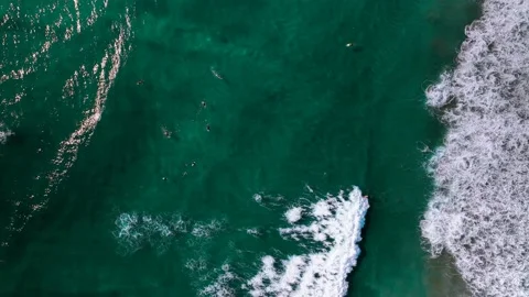 Overhead aerial video of waves rolling and surfers Catching a wave cerritos Stock Footage 236740886