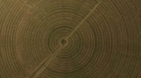 Overhead Aerial View of Alfalfa Fields Stock Footage 59580706