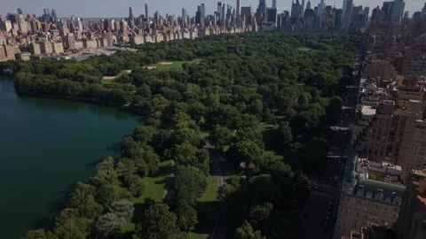 Overhead aerial view of Central Park flying back past iconic towers Vídeo Stock 337615117