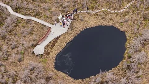 Overhead aerial view of an oval bog pond with a boardwalk platform and a crowd, Stock Footage 336316501