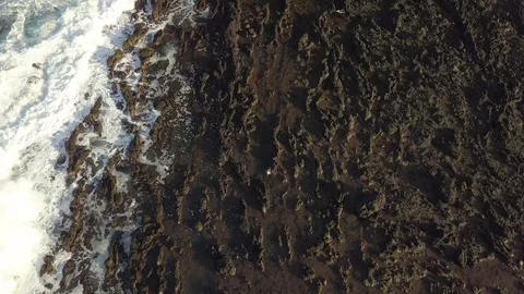 Overhead Aerial Of Waves Rolling Onto Volcanic Rock Coastline, Flores Azores Stock Footage 91058513