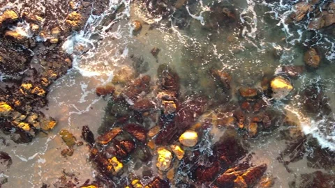 Overhead Beach Flight Over Rocks Side-on Tracking Vídeos de archivo 238833113