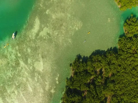 Overhead boat excursion with kayaks and stand up paddle boards. Drone Stockbeeldmateriaal 76514004