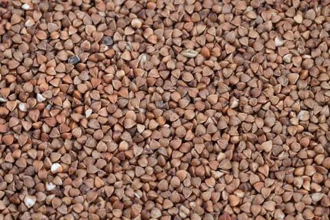 Overhead buckwheat groats pattern uniform spread, tight macro composition emp Stock Photos