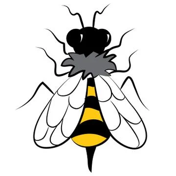 Overhead of Bumblebee Insect Stock Illustration
