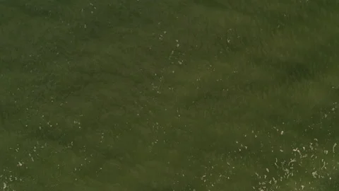 Overhead close falling shot over Cayuga Lake in upstate new york Stock Footage 140083787