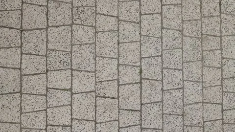 Overhead close-up of light gray cobblestone pavers arranged in staggered rows Stock Footage 326064100