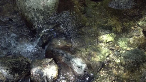 Overhead Close Up of Stream in Forest Video stock 84146791