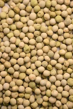 Overhead Close Up Texture and Pattern of Dry Green Pea Grains Seamless Backdr Stock Photos
