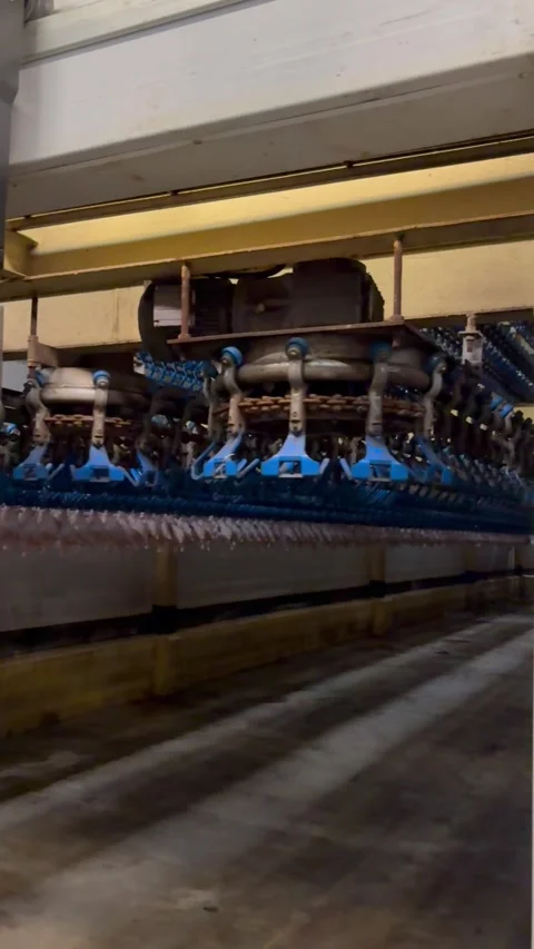 Overhead conveyor line with hanging chickens in slaughterhouse, vertical Stock Footage 345164457
