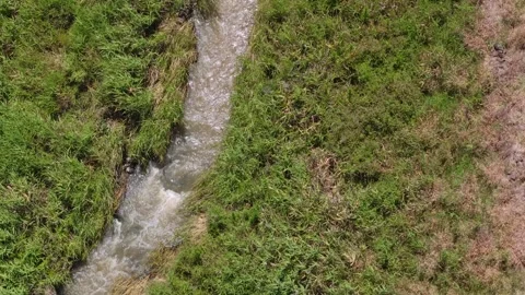 Overhead crane-style drone shot of flowing stream and long grass. Stock Footage 263174459