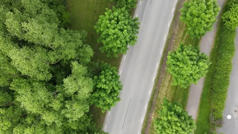 Overhead diagonal following the road shot with lots of greenery Stock Footage