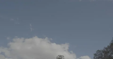 Overhead driving plate - Highway 104 at Mile 18, Amador County Vídeo Stock 293590867
