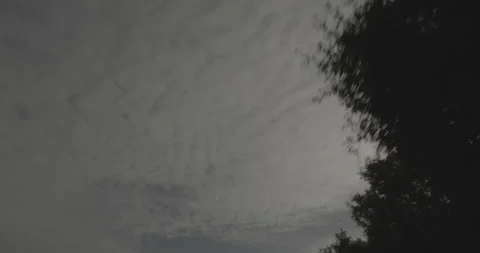 Overhead driving plate - Highway 12 at Miners Trail, Middleton Video stock 293100618