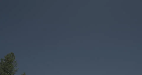 Overhead driving plate - Highway 160 at Mile 126 Archuleta County Stock Footage 288577341