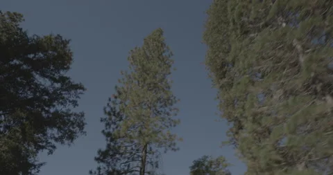 Overhead driving plate - Highway 245 at Mile 3, Pinehurst Vidéo 295217696