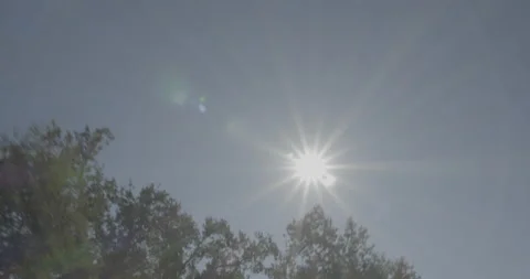 Overhead driving plate - Highway 245 at Mile 33, Tulare County Vídeo Stock 295226529