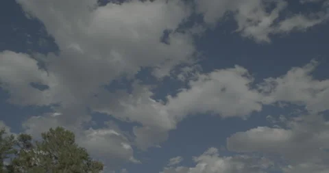 Overhead driving plate - Highway 285 at Mile 221 Bailey Vidéo 289013801
