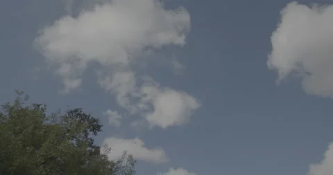 Overhead driving plate - Highway 88 at Collier Road, Dogtown Stock Footage 293484853