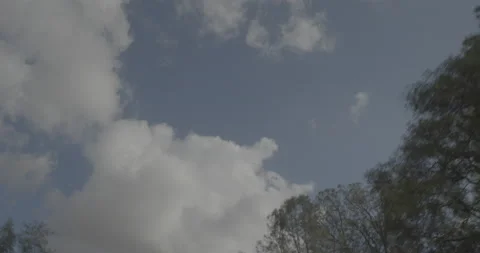 Overhead driving plate - Irish Hill Road at Mile 2, Amador County Vidéo 293609832