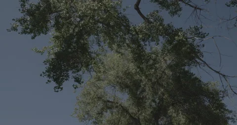 Overhead driving plate - Pershing Boulevard at Carey Avenue Cheyenne Stock Footage 289720697