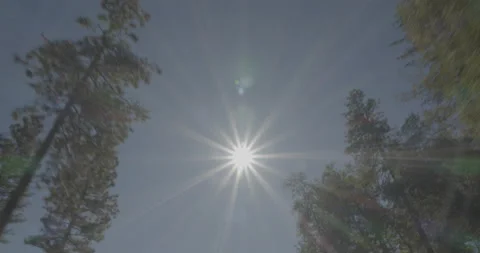 Overhead driving plate - Smith Station Road at Mile 5, Greeley Hill Stock Footage 295059148